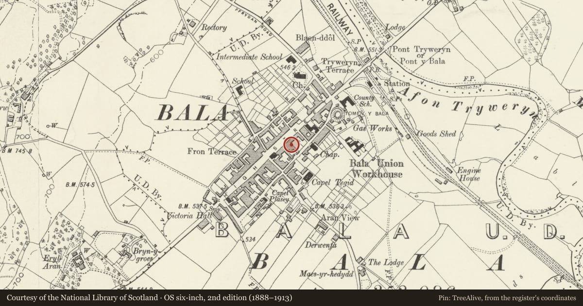 Ordnance Survey six-inch map, 2nd edition (1888–1913) covering the location of Caffi'r Cyfnod, Bala, Gwynedd, with a pin at the register's coordinates