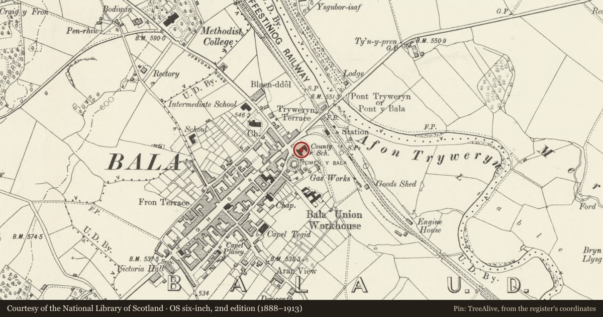 Ordnance Survey six-inch map, 2nd edition (1888–1913) covering the location of Neuadd-y-Cyfnod (Old Grammar School), Including Forecourt Walls, Piers & Railings, Bala, Gwynedd, with a pin at the register's coordinates