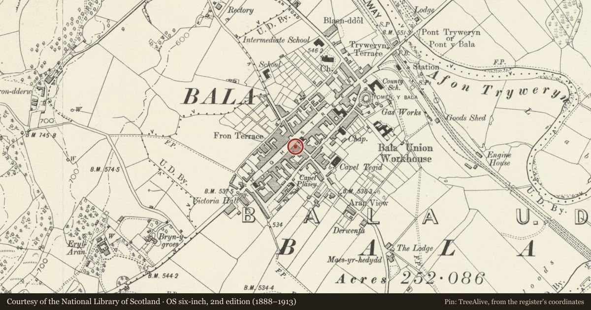 Ordnance Survey six-inch map, 2nd edition (1888–1913) covering the location of Siop Bapur Newydd, Bala, Gwynedd, with a pin at the register's coordinates