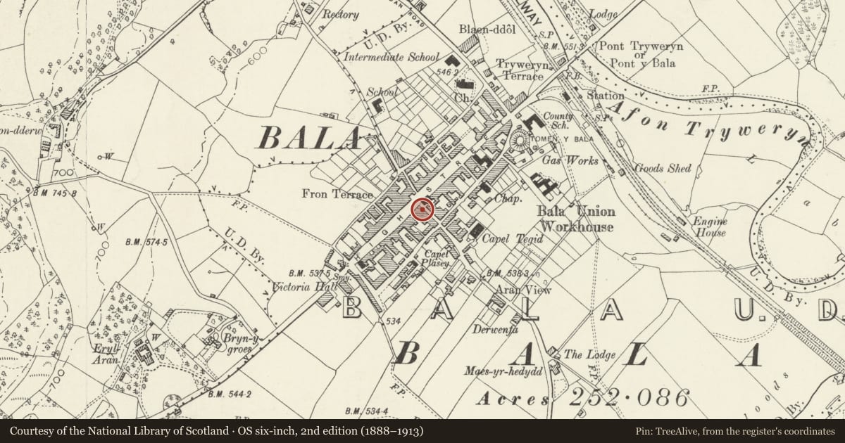 Ordnance Survey six-inch map, 2nd edition (1888–1913) covering the location of China Treasure Takeaway, Bala, Gwynedd, with a pin at the register's coordinates