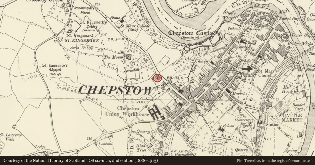 Ordnance Survey six-inch map, 2nd edition (1888–1913) covering the location of Castledale and York House including forecourt railings and gates, Chepstow, Monmouthshire, with a pin at the register's coordinates