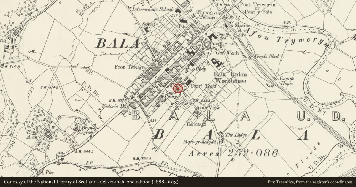 Ordnance Survey six-inch map, 2nd edition (1888–1913) covering the location of Plas Deon, Bala, Gwynedd, with a pin at the register's coordinates