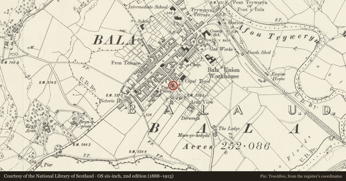 Ordnance Survey six-inch map, 2nd edition (1888–1913) covering the location of 37 Tegid Street, Bala, Gwynedd, with a pin at the register's coordinates
