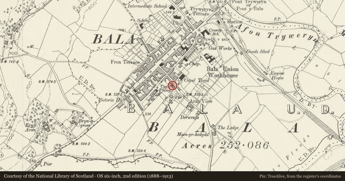 Ordnance Survey six-inch map, 2nd edition (1888–1913) covering the location of 39 Tegid Street, Bala, Gwynedd, with a pin at the register's coordinates