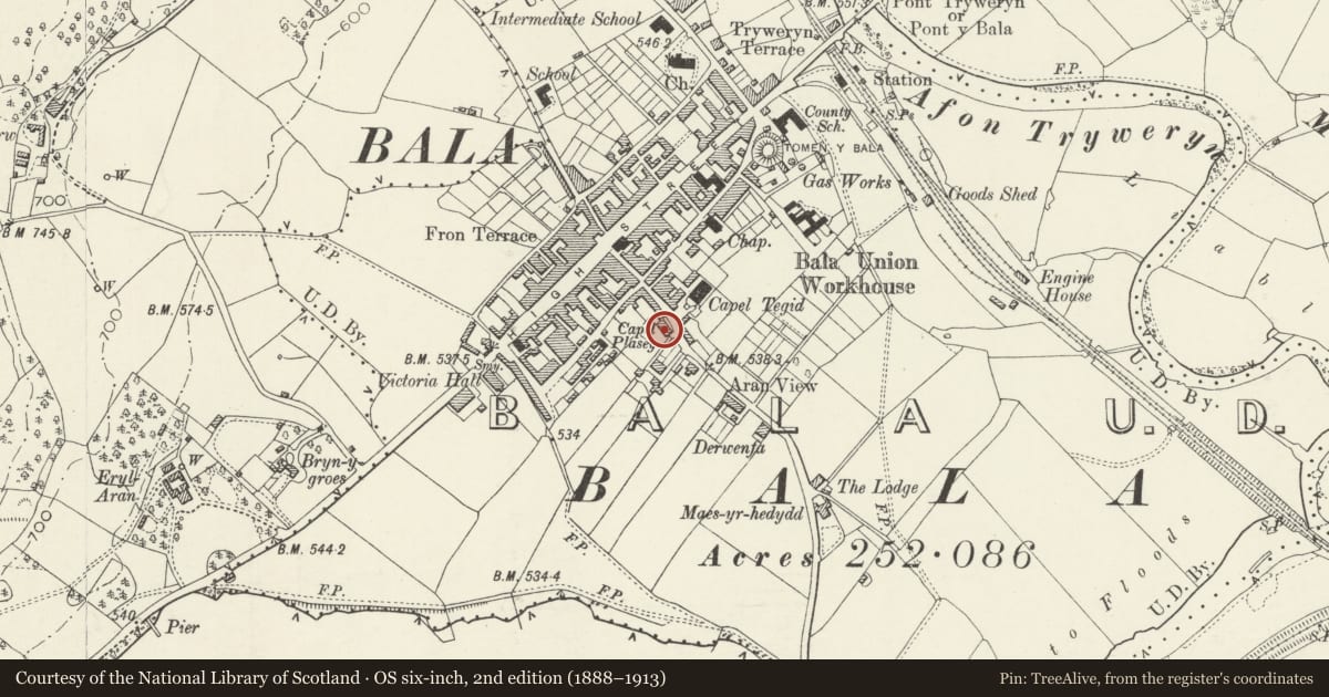Ordnance Survey six-inch map, 2nd edition (1888–1913) covering the location of 41 Tegid Street, Bala, Gwynedd, with a pin at the register's coordinates
