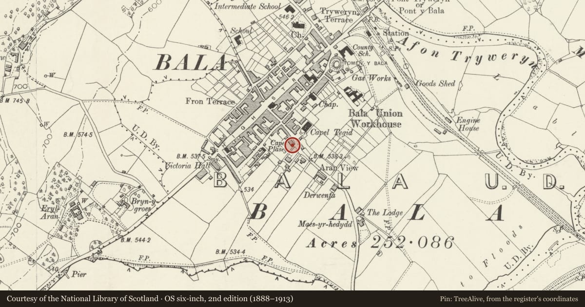 Ordnance Survey six-inch map, 2nd edition (1888–1913) covering the location of 43 Tegid Street, Bala, Gwynedd, with a pin at the register's coordinates