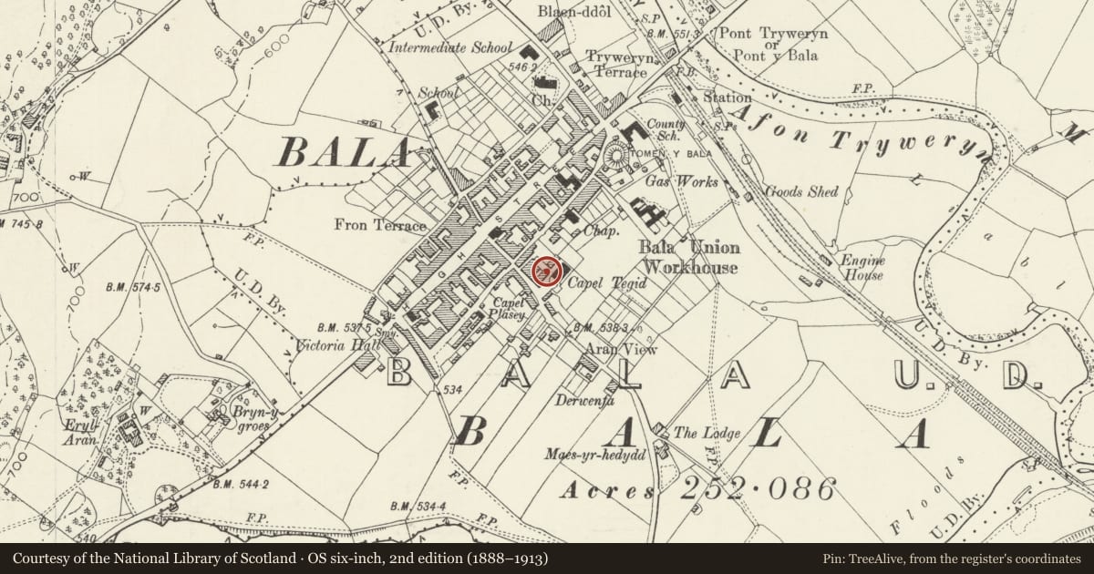 Ordnance Survey six-inch map, 2nd edition (1888–1913) covering the location of 40 Tegid Street, Bala, Gwynedd, with a pin at the register's coordinates