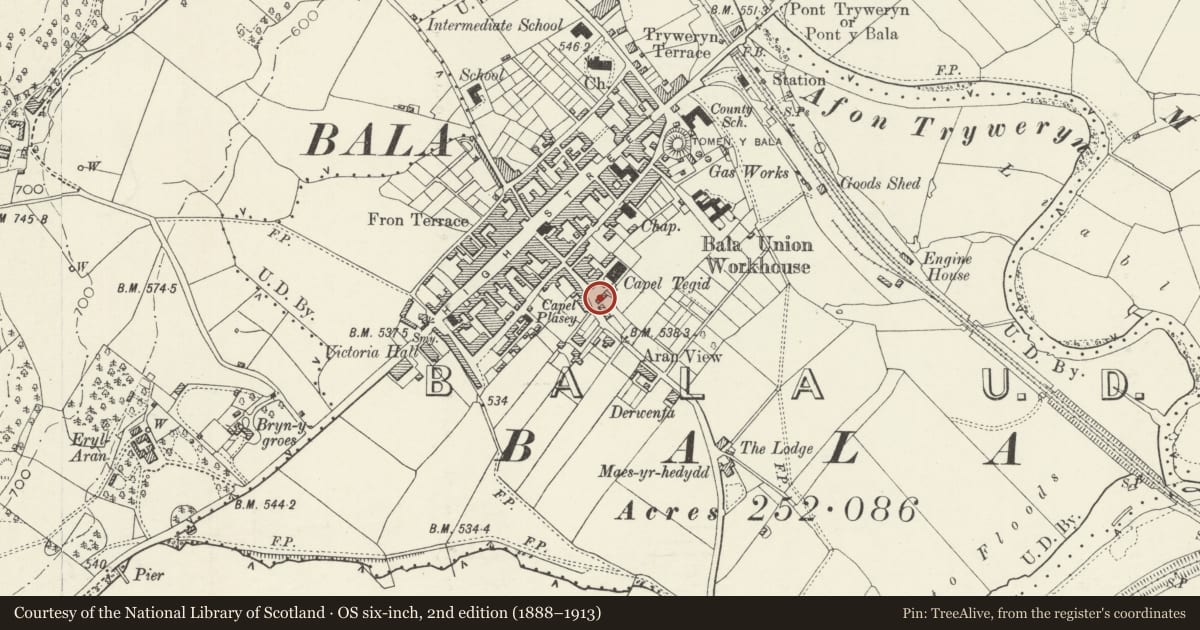Ordnance Survey six-inch map, 2nd edition (1888–1913) covering the location of Y Gelli, Bala, Gwynedd, with a pin at the register's coordinates