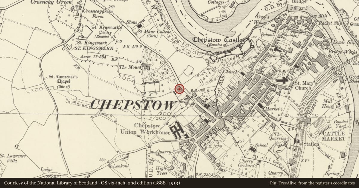 Ordnance Survey six-inch map, 2nd edition (1888–1913) covering the location of Marlborough House including forecourt railings and gate, Chepstow, Monmouthshire, with a pin at the register's coordinates