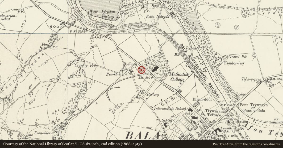 Ordnance Survey six-inch map, 2nd edition (1888–1913) covering the location of Bodiwan, Bala, Gwynedd, with a pin at the register's coordinates