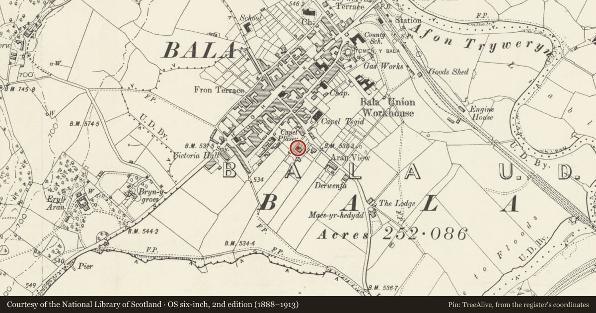 Ordnance Survey six-inch map, 2nd edition (1888–1913) covering the location of Plas Teg, Bala, Gwynedd, with a pin at the register's coordinates
