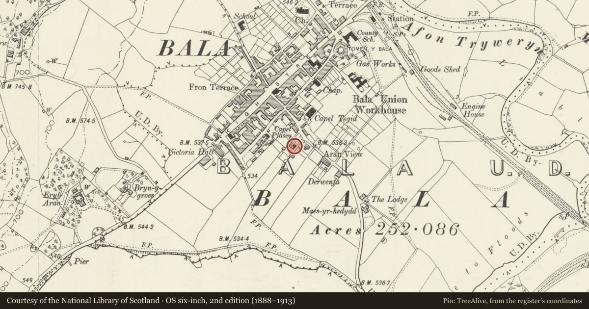 Ordnance Survey six-inch map, 2nd edition (1888–1913) covering the location of Plas-yn-Acre, Bala, Gwynedd, with a pin at the register's coordinates