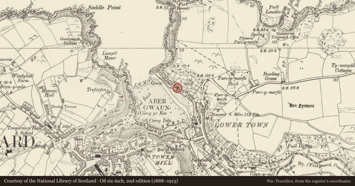 Ordnance Survey six-inch map, 2nd edition (1888–1913) covering the location of 35 Quay Street, Fishguard and Goodwick, Pembrokeshire, with a pin at the register's coordinates