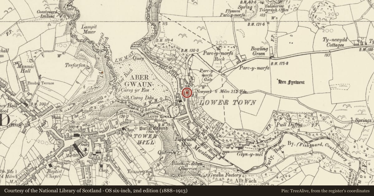 Ordnance Survey six-inch map, 2nd edition (1888–1913) covering the location of Solway House, Fishguard and Goodwick, Pembrokeshire, with a pin at the register's coordinates