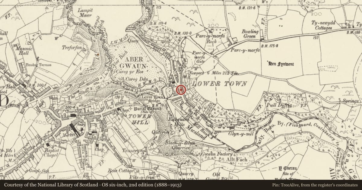 Ordnance Survey six-inch map, 2nd edition (1888–1913) covering the location of The Ship Inn, Fishguard and Goodwick, Pembrokeshire, with a pin at the register's coordinates