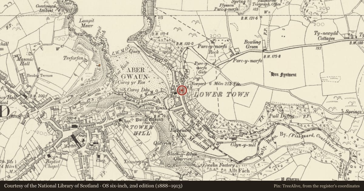 Ordnance Survey six-inch map, 2nd edition (1888–1913) covering the location of Well Cottage/Bwthyn Ffynnon, Fishguard and Goodwick, Pembrokeshire, with a pin at the register's coordinates