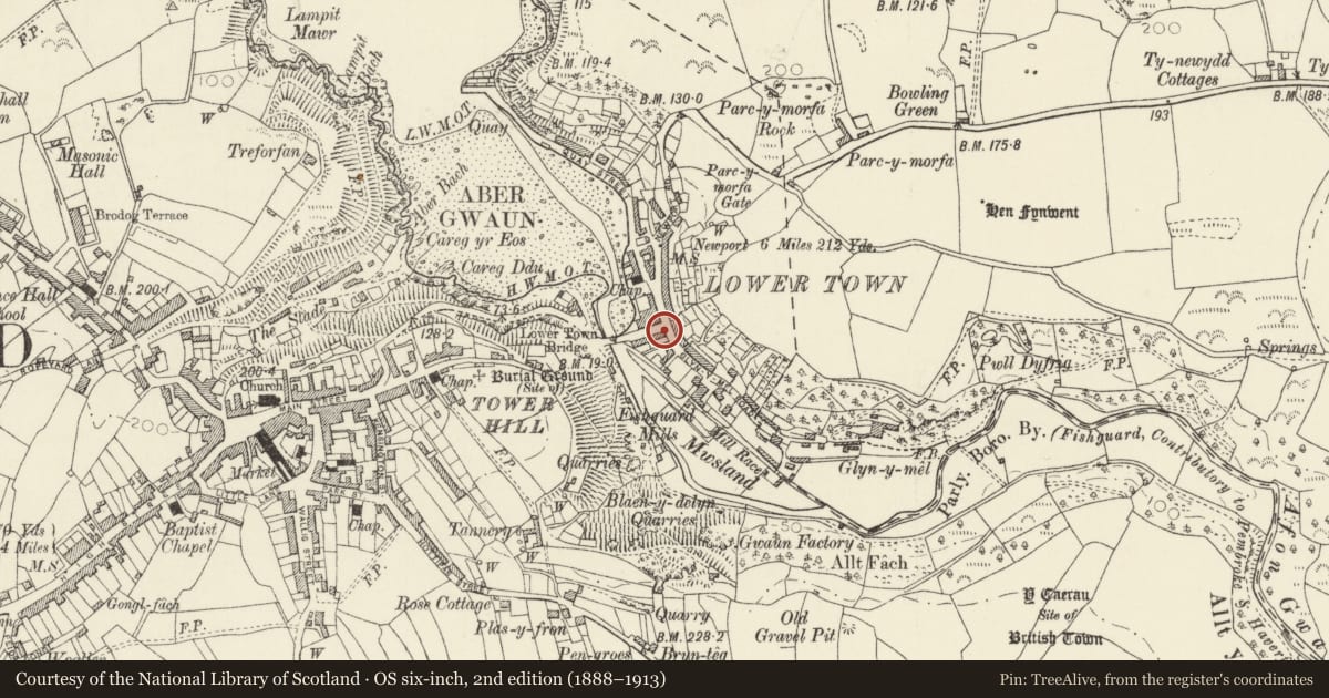 Ordnance Survey six-inch map, 2nd edition (1888–1913) covering the location of 12 Bridge Street, Fishguard and Goodwick, Pembrokeshire, with a pin at the register's coordinates