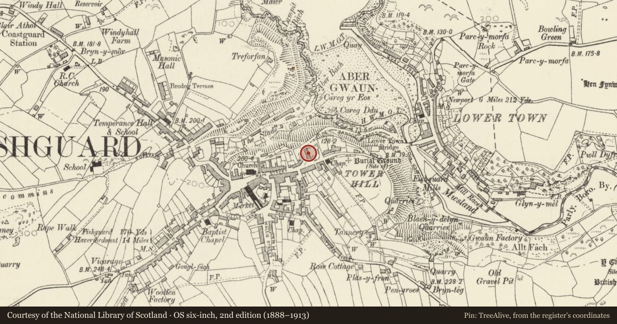 Ordnance Survey six-inch map, 2nd edition (1888–1913) covering the location of Bryn Haulwen, Fishguard and Goodwick, Pembrokeshire, with a pin at the register's coordinates