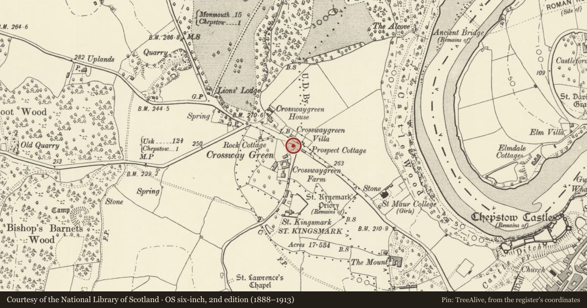 Ordnance Survey six-inch map, 2nd edition (1888–1913) covering the location of Pike House, Chepstow, Monmouthshire, with a pin at the register's coordinates