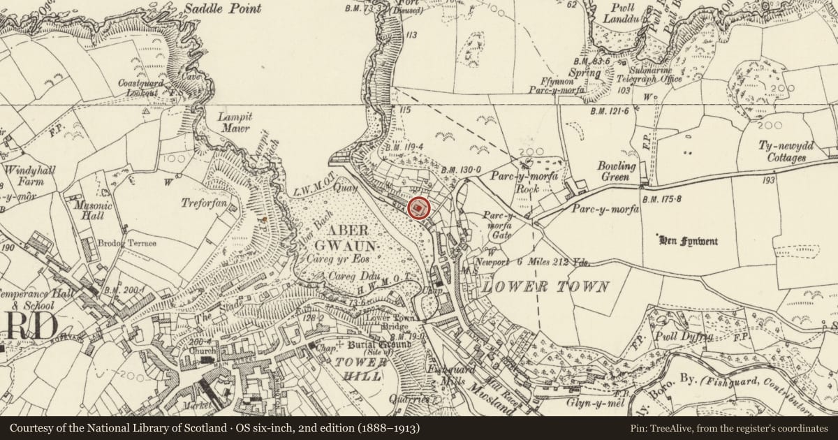Ordnance Survey six-inch map, 2nd edition (1888–1913) covering the location of 25 Quay Street, Fishguard and Goodwick, Pembrokeshire, with a pin at the register's coordinates