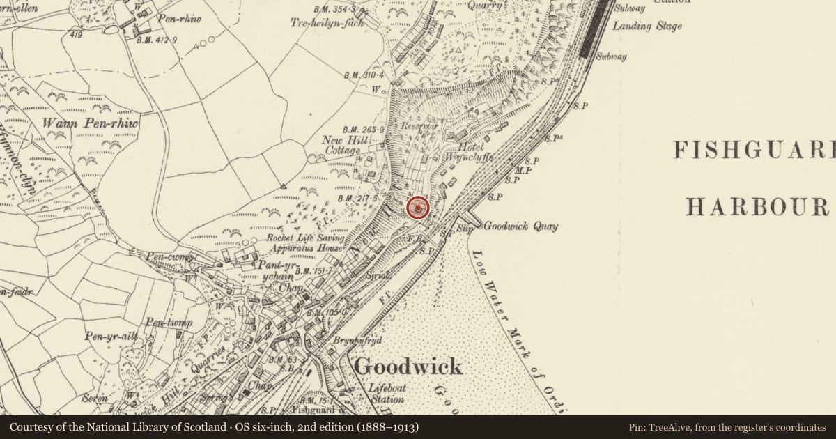 Ordnance Survey six-inch map, 2nd edition (1888–1913) covering the location of Penrhyn, Fishguard and Goodwick, Pembrokeshire, with a pin at the register's coordinates