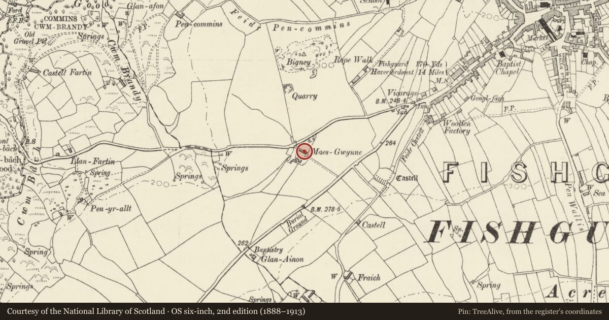 Ordnance Survey six-inch map, 2nd edition (1888–1913) covering the location of Range of outbuildings at Maesgwynne, Fishguard and Goodwick, Pembrokeshire, with a pin at the register's coordinates