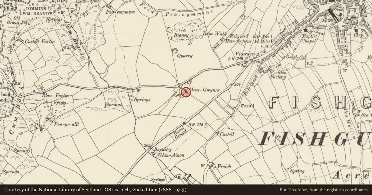 Ordnance Survey six-inch map, 2nd edition (1888–1913) covering the location of Cartshed at Maesgwynne, Fishguard and Goodwick, Pembrokeshire, with a pin at the register's coordinates