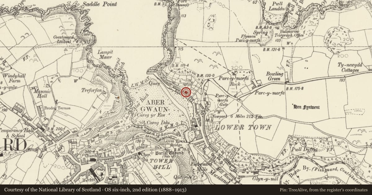 Ordnance Survey six-inch map, 2nd edition (1888–1913) covering the location of New Villa, Fishguard and Goodwick, Pembrokeshire, with a pin at the register's coordinates