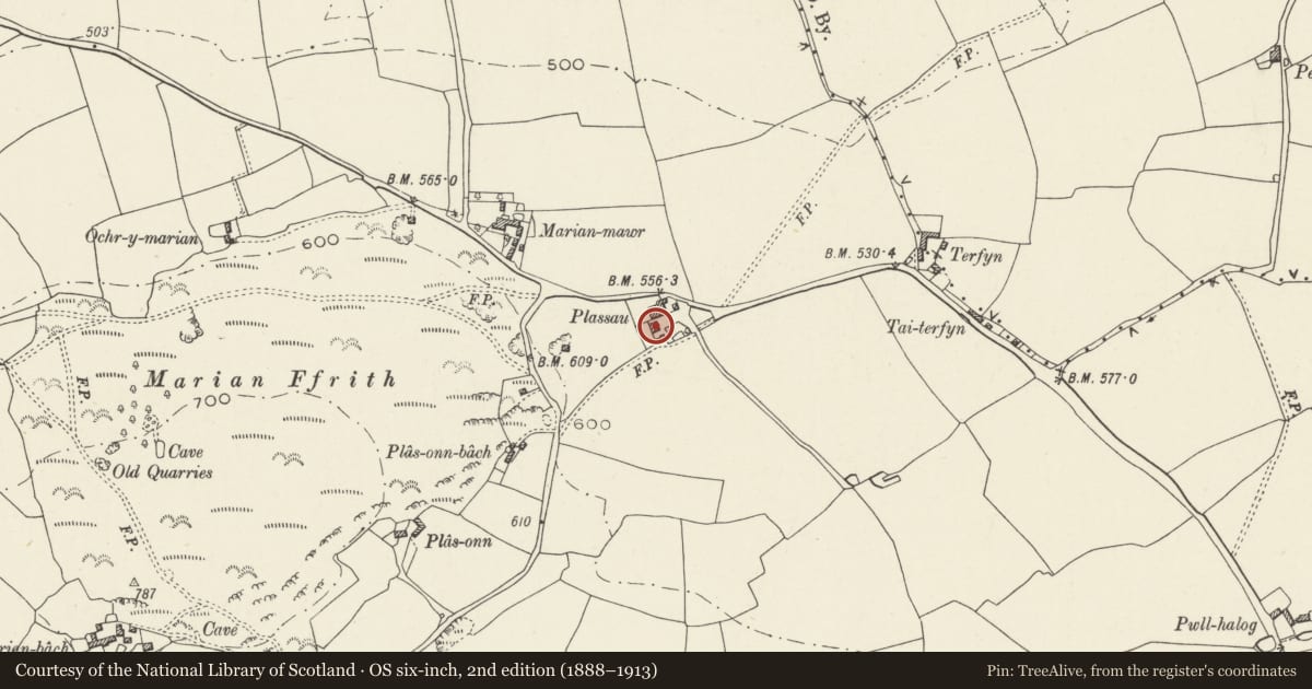 Ordnance Survey six-inch map, 2nd edition (1888–1913) covering the location of Plasse, Cwm, Denbighshire, with a pin at the register's coordinates