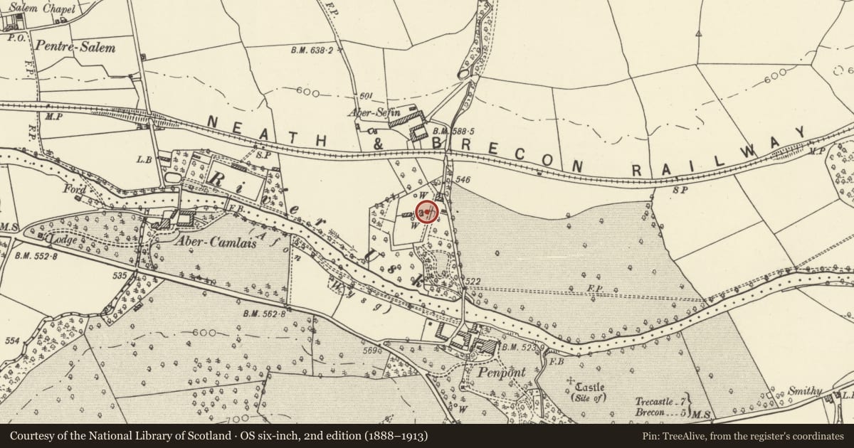 Ordnance Survey six-inch map, 2nd edition (1888–1913) covering the location of Walls enclosing Kitchen Garden including Vine House and Pineapple House, Trallong, Powys, with a pin at the register's coordinates