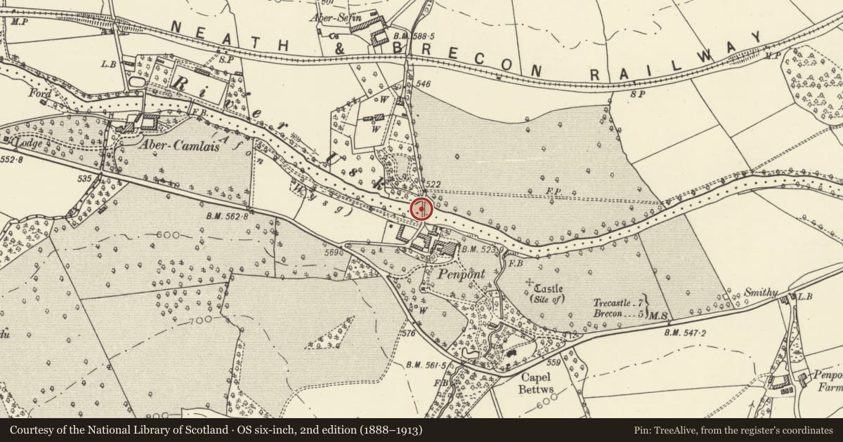 Ordnance Survey six-inch map, 2nd edition (1888–1913) covering the location of Penpont Bridge including two doorways in attached wall to N, Trallong, Powys, with a pin at the register's coordinates