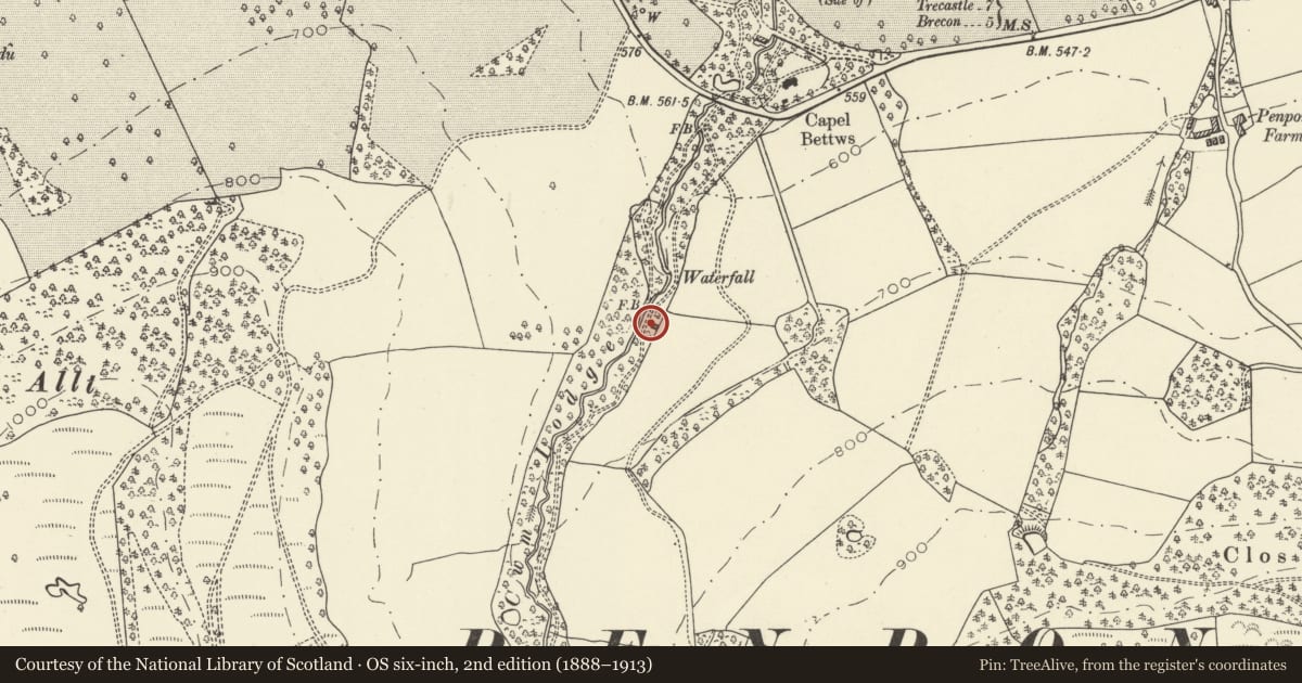Ordnance Survey six-inch map, 2nd edition (1888–1913) covering the location of Cwm Lodge, Trallong, Powys, with a pin at the register's coordinates