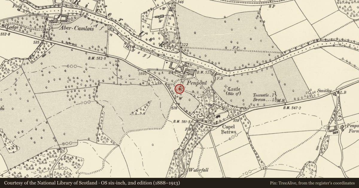 Ordnance Survey six-inch map, 2nd edition (1888–1913) covering the location of Moss Hut, Trallong, Powys, with a pin at the register's coordinates