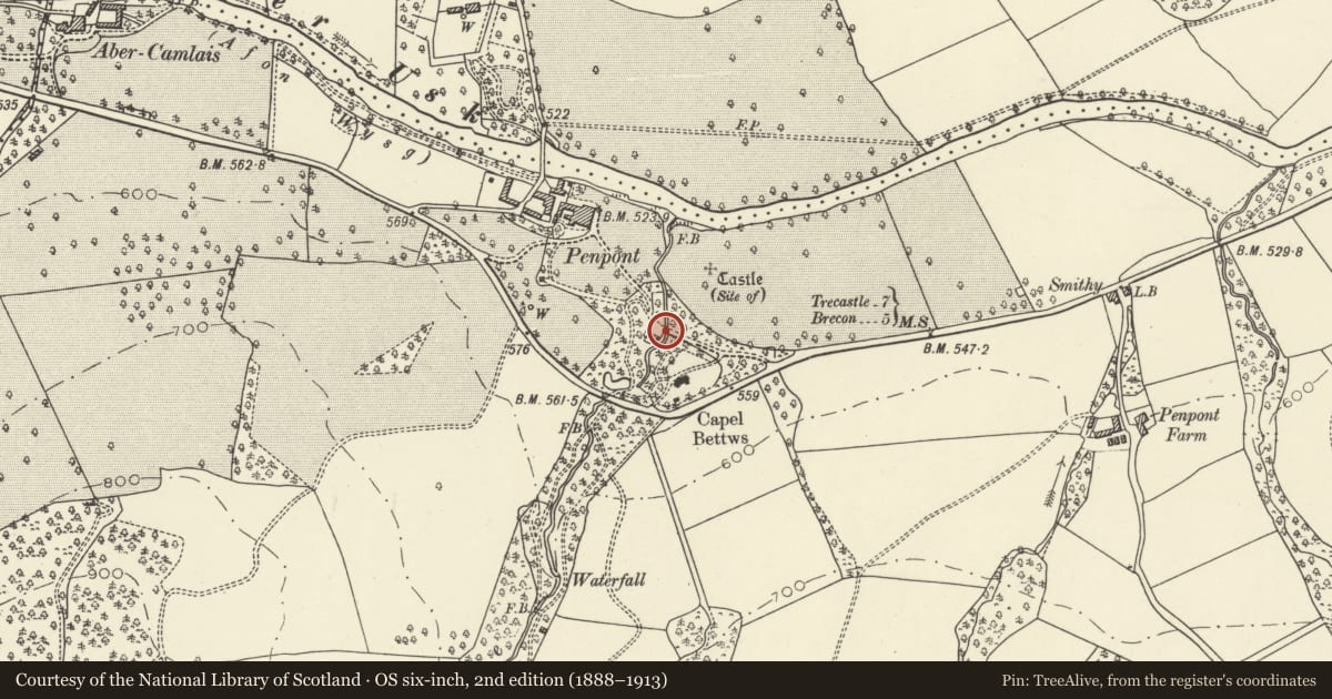 Ordnance Survey six-inch map, 2nd edition (1888–1913) covering the location of Bridge near The Lodge, Trallong, Powys, with a pin at the register's coordinates