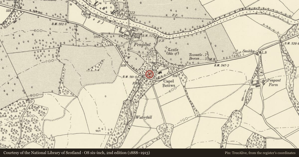 Ordnance Survey six-inch map, 2nd edition (1888–1913) covering the location of Portal to outlet of pond at Penpont, Trallong, Powys, with a pin at the register's coordinates