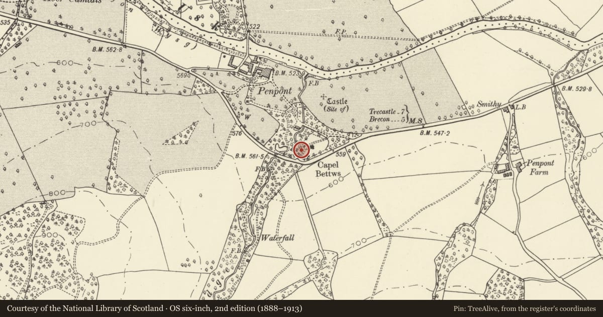Ordnance Survey six-inch map, 2nd edition (1888–1913) covering the location of Williams Memorial and railings W of Betws Penpont church, Trallong, Powys, with a pin at the register's coordinates