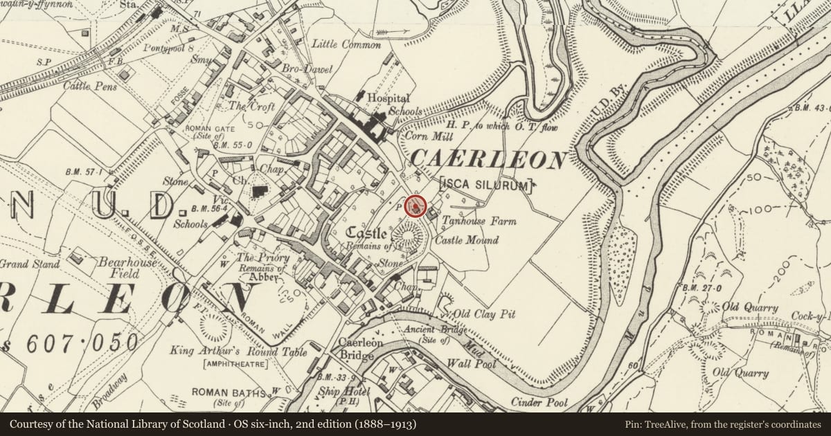 Ordnance Survey six-inch map, 2nd edition (1888–1913) covering the location of 96 Mill Street, Caerleon, Newport, with a pin at the register's coordinates