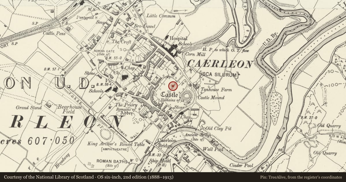Ordnance Survey six-inch map, 2nd edition (1888–1913) covering the location of Garden Wall of Castle Acre, Caerleon, Newport, with a pin at the register's coordinates