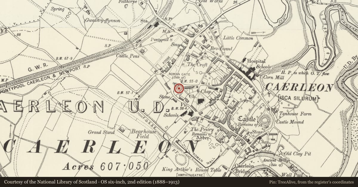 Ordnance Survey six-inch map, 2nd edition (1888–1913) covering the location of War Memorial Drinking Fountain in Town Hall Park, Caerleon, Newport, with a pin at the register's coordinates