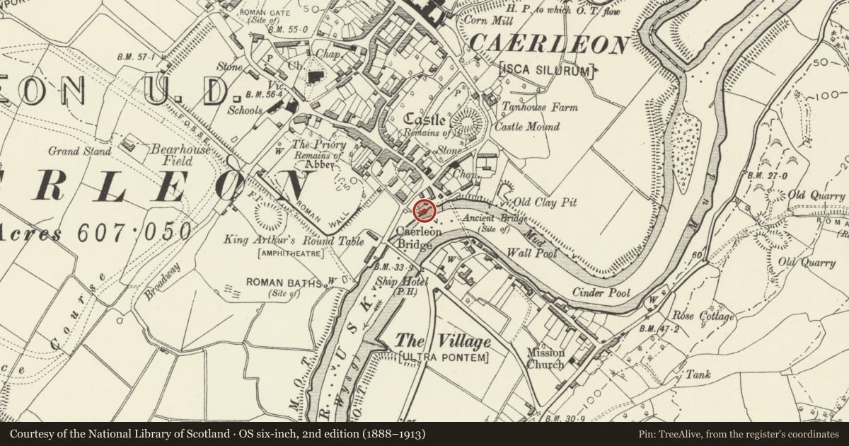Ordnance Survey six-inch map, 2nd edition (1888–1913) covering the location of Quay Wall and Slip at the Hanbury Arms, Caerleon, Newport, with a pin at the register's coordinates