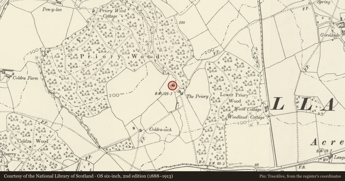 Ordnance Survey six-inch map, 2nd edition (1888–1913) covering the location of Priory Farmhouse, Caerleon, Newport, with a pin at the register's coordinates