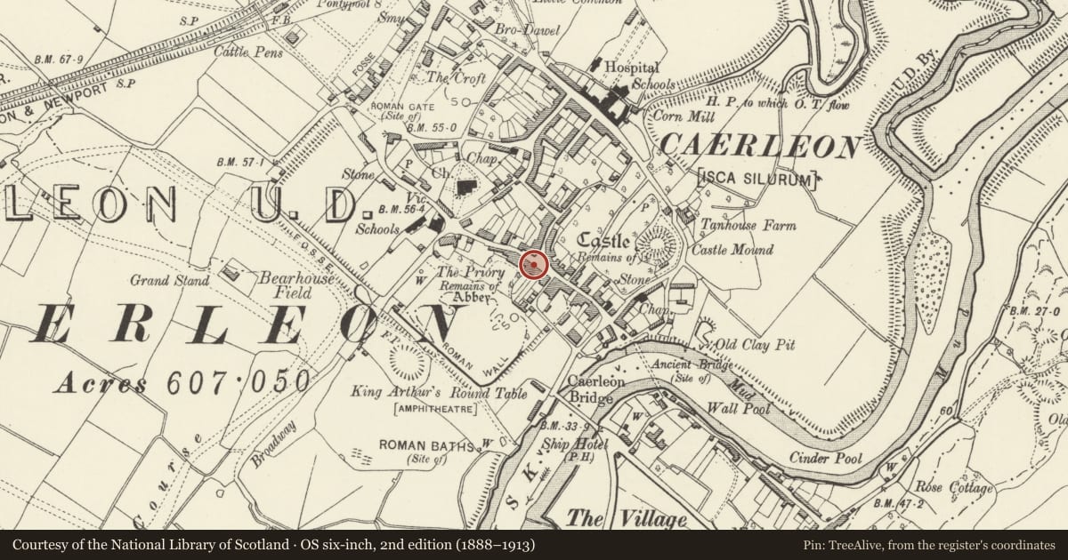 Ordnance Survey six-inch map, 2nd edition (1888–1913) covering the location of Letter Box outside the Post Office, Caerleon, Newport, with a pin at the register's coordinates