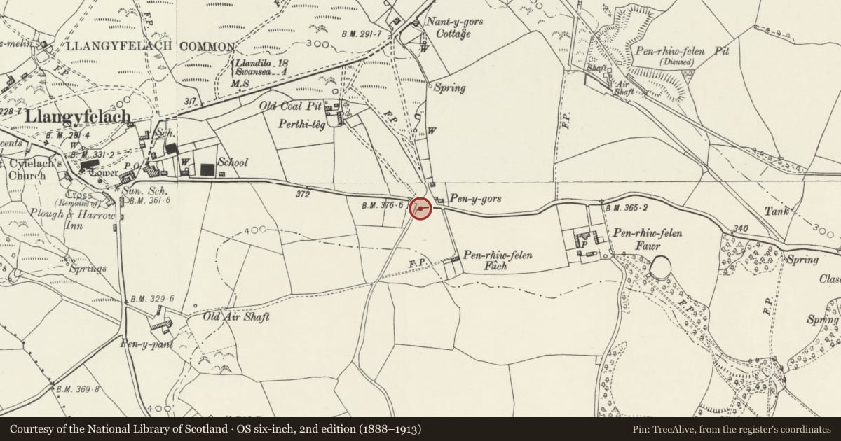 Ordnance Survey six-inch map, 2nd edition (1888–1913) covering the location of Boundary Post, Mynyddbach, Swansea, with a pin at the register's coordinates