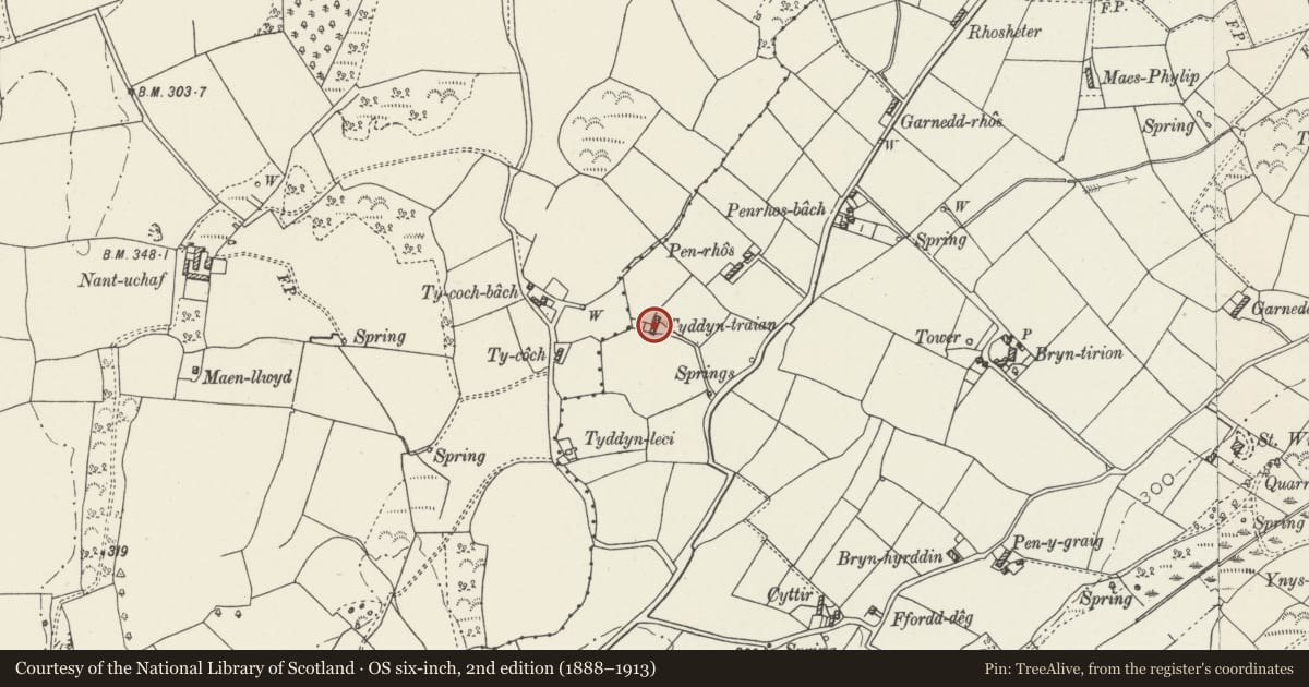 Ordnance Survey six-inch map, 2nd edition (1888–1913) covering the location of Tyddyn Traian, Llanfair-Mathafarn-Eithaf, Isle of Anglesey, with a pin at the register's coordinates