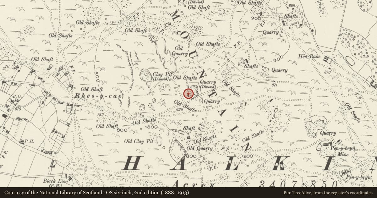 Ordnance Survey six-inch map, 2nd edition (1888–1913) covering the location of Lime Kilns, Halkyn, Flintshire, with a pin at the register's coordinates