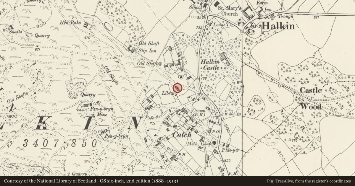 Ordnance Survey six-inch map, 2nd edition (1888–1913) covering the location of Halkyn Library Hall, Flintshire, with a pin at the register's coordinates