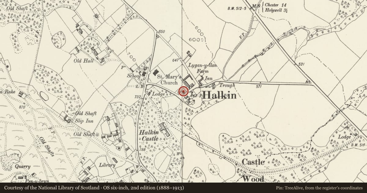Ordnance Survey six-inch map, 2nd edition (1888–1913) covering the location of Hillside, Halkyn, Flintshire, with a pin at the register's coordinates