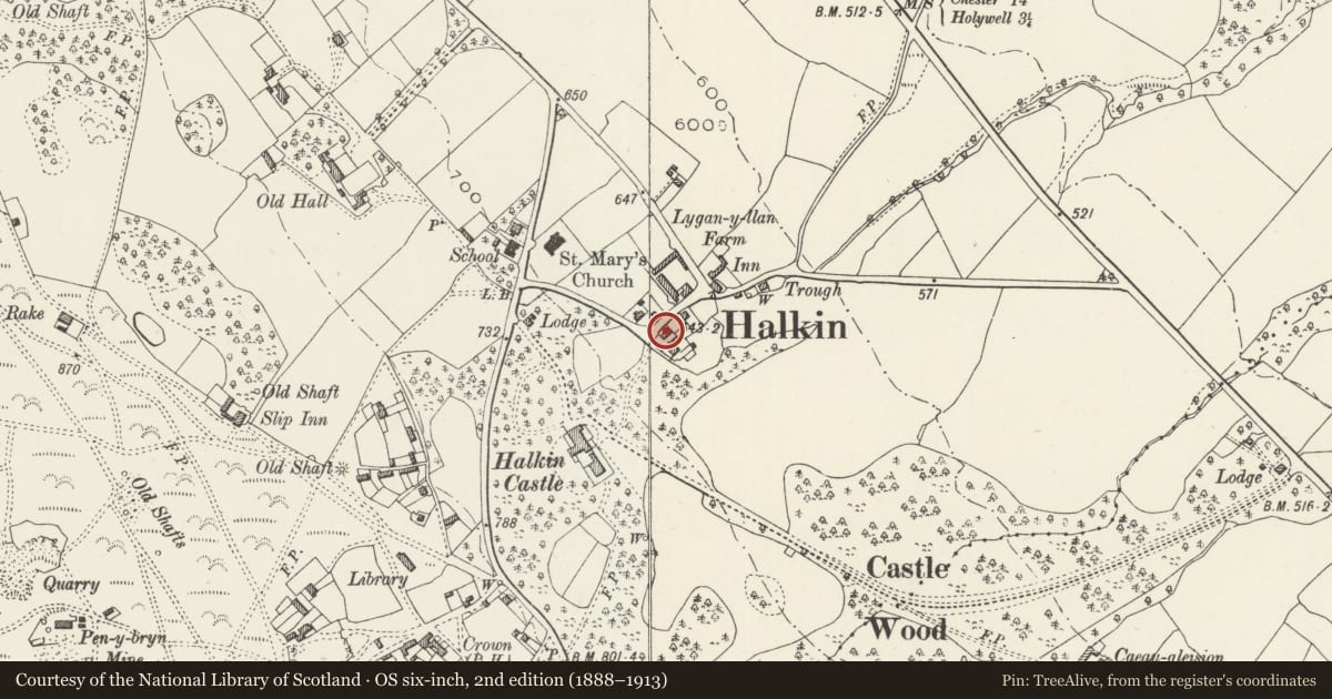 Ordnance Survey six-inch map, 2nd edition (1888–1913) covering the location of Former Shippon at Rosemount, Halkyn, Flintshire, with a pin at the register's coordinates