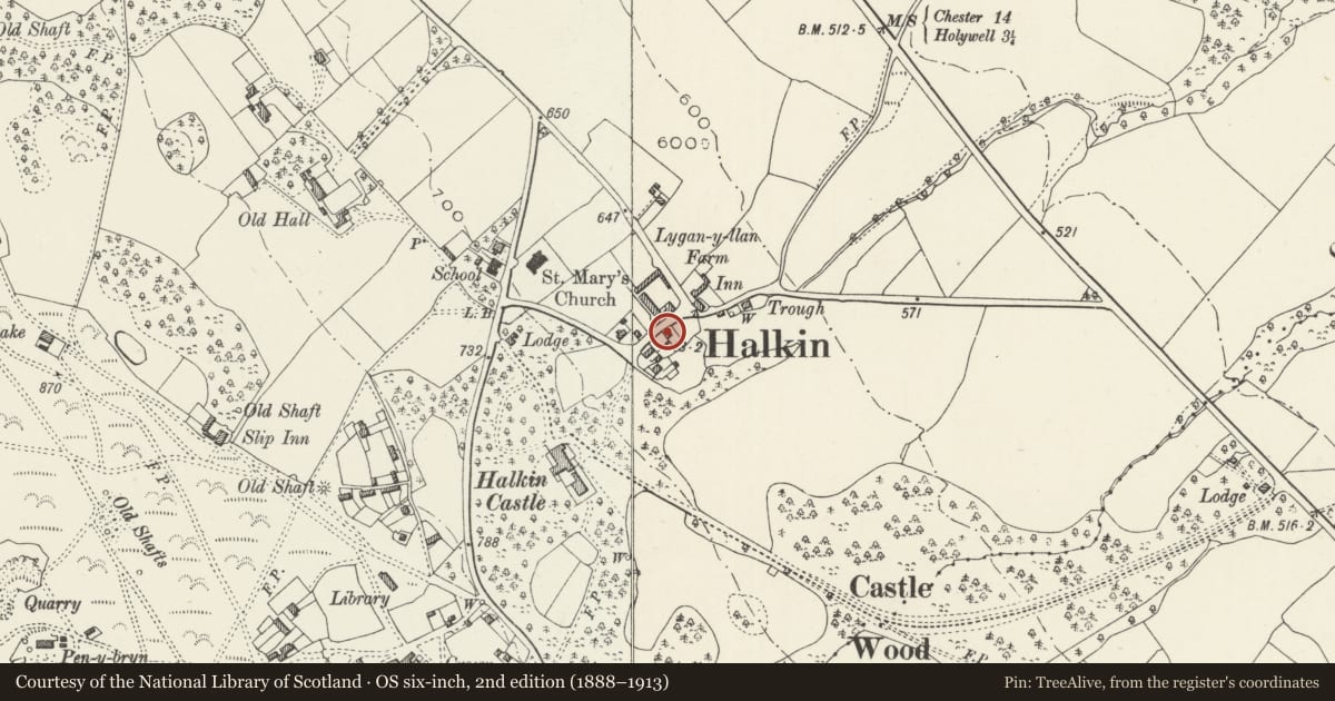 Ordnance Survey six-inch map, 2nd edition (1888–1913) covering the location of Rosemount, Halkyn, Flintshire, with a pin at the register's coordinates