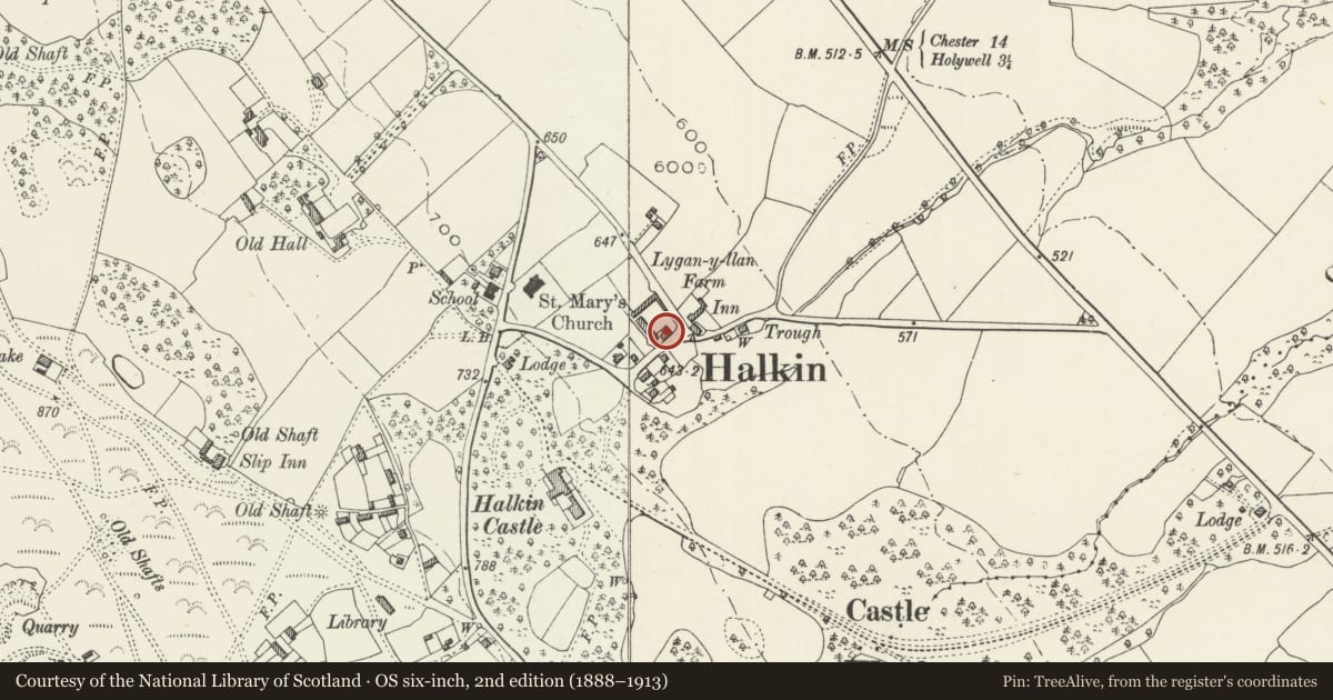 Ordnance Survey six-inch map, 2nd edition (1888–1913) covering the location of Lygan y Llan Farmhouse including Forecourt Walls and Railings, Halkyn, Flintshire, with a pin at the register's coordinates